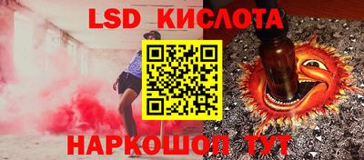 крисы Аргун