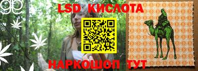 крисы Аргун