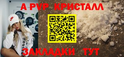 крисы Аргун