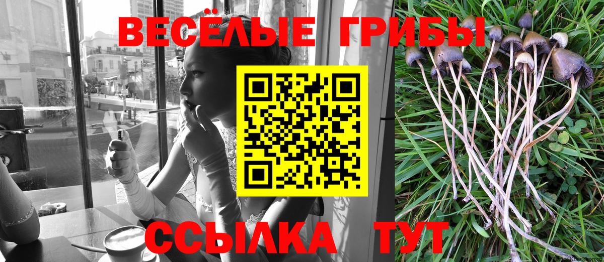 Галлюциногенные грибы Magic Shrooms Бугуруслан